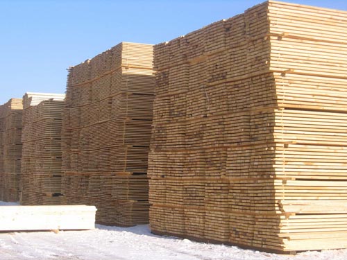 pine-wood-logs-timber